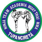 Academia Ninja Team - logo