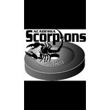 Academia Scorpions - logo