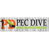 Academia Pec Dive - logo
