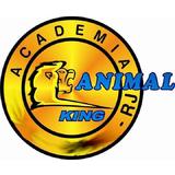Animal King - Cidade Praiana - logo