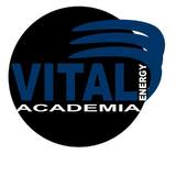Academia Vital Energy - logo