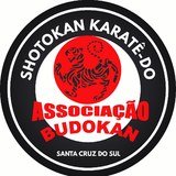 Academia Budokan - logo