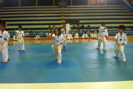 Pro Team Taekwondo