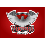 Academia Vikings - logo