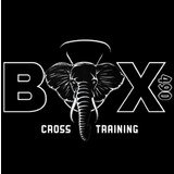 Box 490 Cross Training - logo