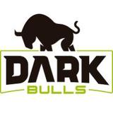 Dark Bulls - logo