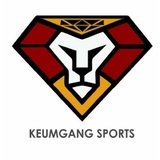 Ct Keumgang Sports - logo