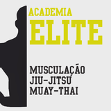 Academia Elite - logo