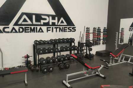 Alpha Academia Fitness