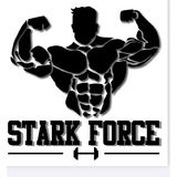 Stark Force Academia - logo
