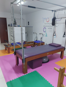 Studio Camila Veríssimo Fisioterapia E Pilates
