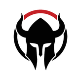 Cross Vikings Cg - logo