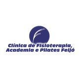 Academia Feijó - logo