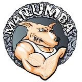 Academia Marumba - logo