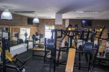 Muscles GYM-----------