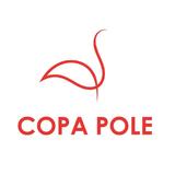 Copa Pole - Flamengo - logo