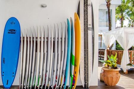 Surf's Up Club Lora SurfBoards