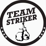 Team Striker - logo