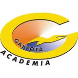 Academia Gaivota - logo
