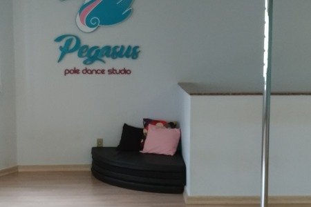 Pegasus - Pole Dance Studio