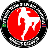 Studio Team Silvério Jandira - logo