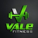 Academia Vale Fitness - logo