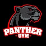 Panther Gym - logo