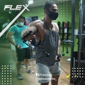 Flex Academia