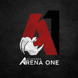 Arena One - logo