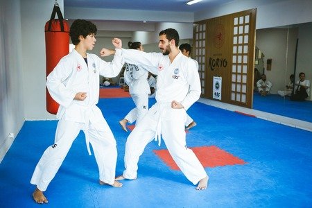 Instituto Koryo Taekwondo