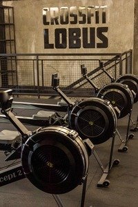 Lobus Training
