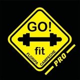 GO!fit PRO - logo