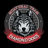 CT Diamond Dogs - logo