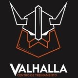 CT Valhalla - logo