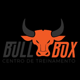 CT Bull Box - logo