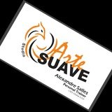 Studio Arte Suave - logo