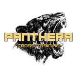 Panthera CT - logo