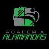 ACADEMIA ALAMANDAS - logo