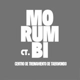 CT Morumbi - Theodoro Victorelli - logo