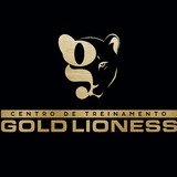Ct Gold Lioness - logo