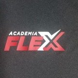 Academia Flex - logo