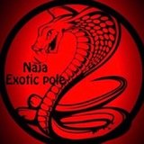 Studio Naja Exotic Pole - logo