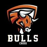 Bulls Cross - logo