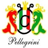 Clínica Pellegrini - logo