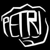 Studio Fight Pedro Petri - logo
